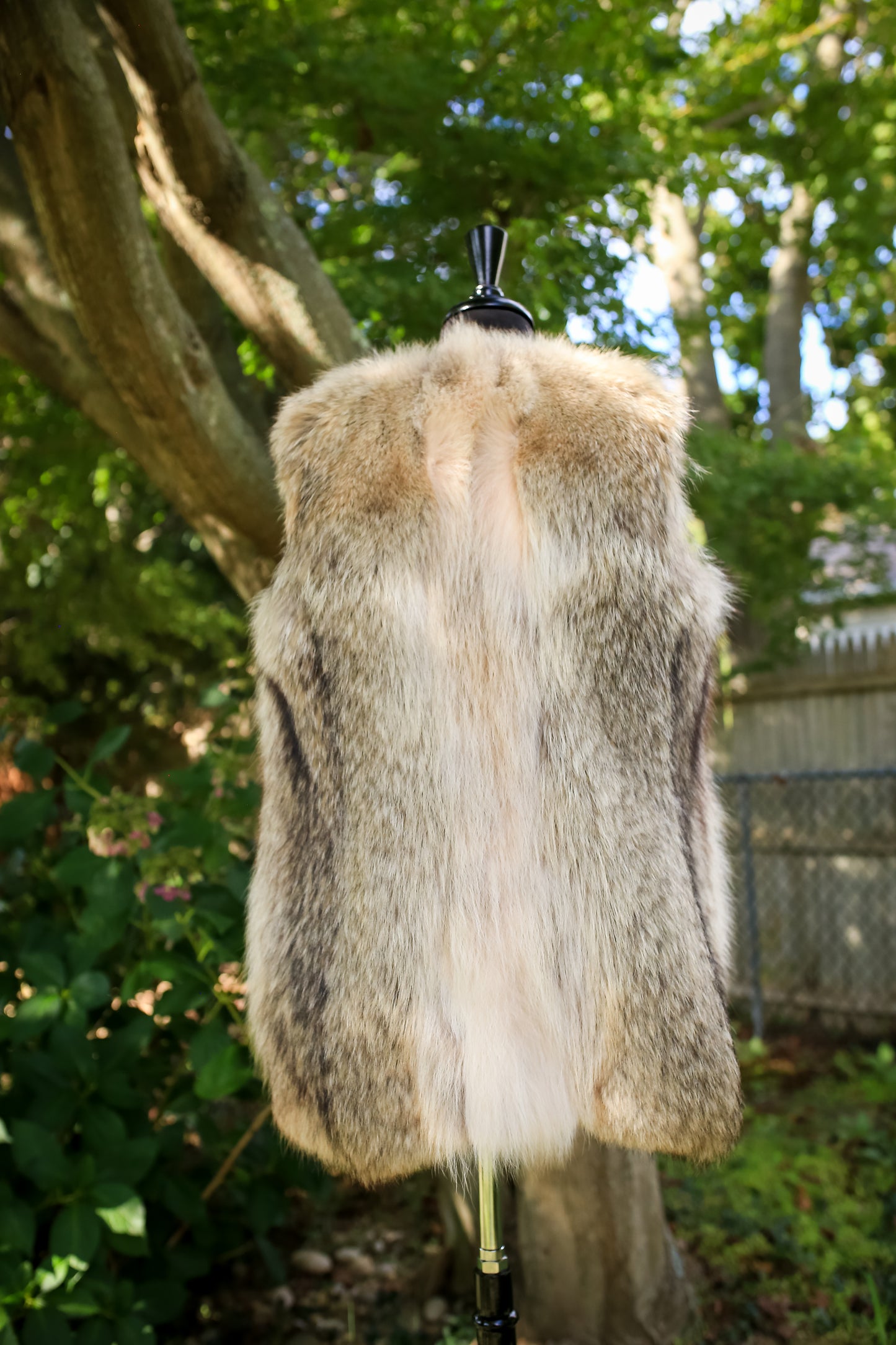 Coyote Vest