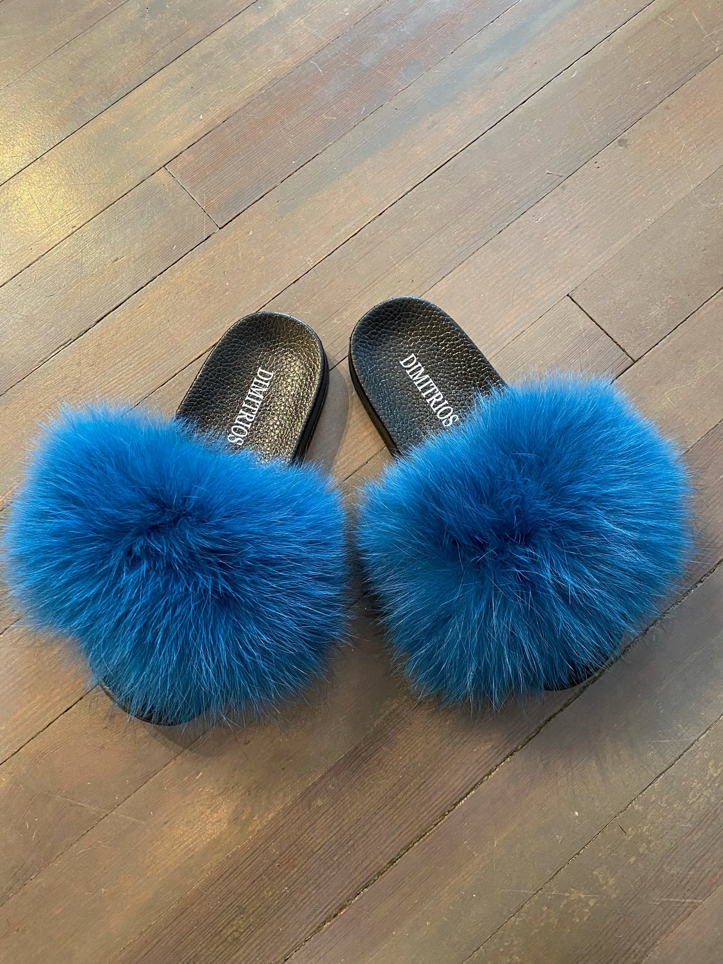Blue Fox Slides