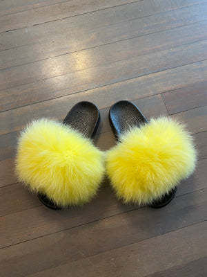 Yellow Fox Slides