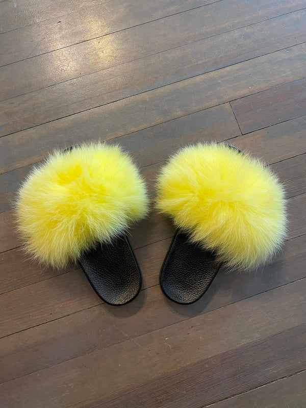 Yellow Fox Slides