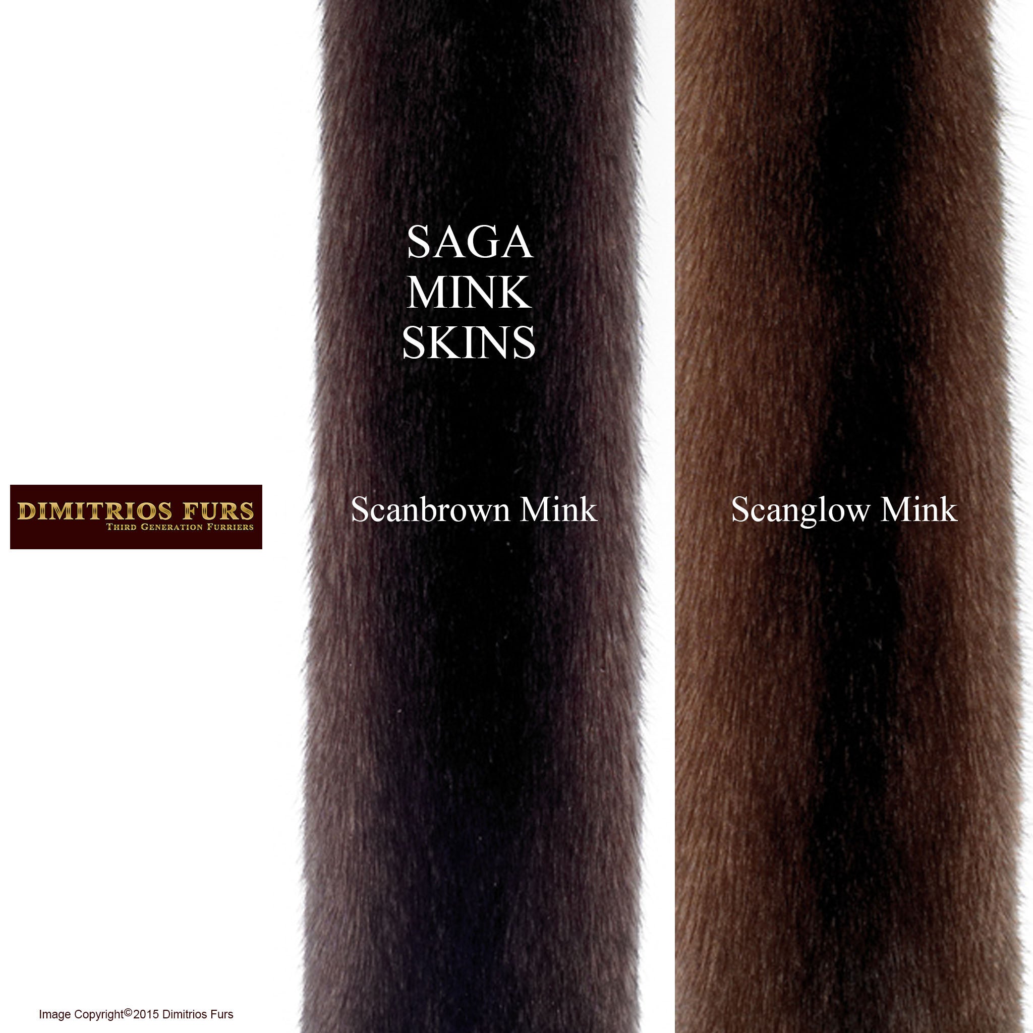 Mink Coat Color Chart