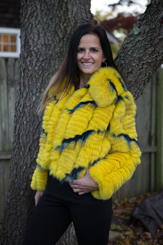 Fur Gold and Blue